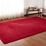 Decorative Crawling Mat Thick Coral Fleece Carpet Fluff Rug Living Room