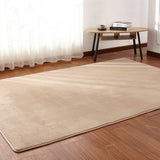 Decorative Crawling Mat Thick Coral Fleece Carpet Fluff Rug Living Room