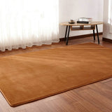 Decorative Crawling Mat Thick Coral Fleece Carpet Fluff Rug Living Room