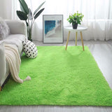 Shaggy Carpet for Living Room and Bedroom