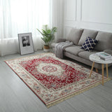 Modern Style Soft Carpets for Living Room Home Floor Mat Decorate