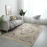 Modern Style Soft Carpets for Living Room Home Floor Mat Decorate